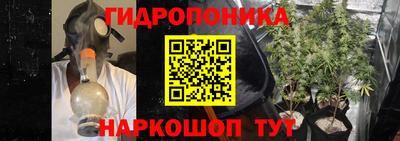 твердый Севастополь