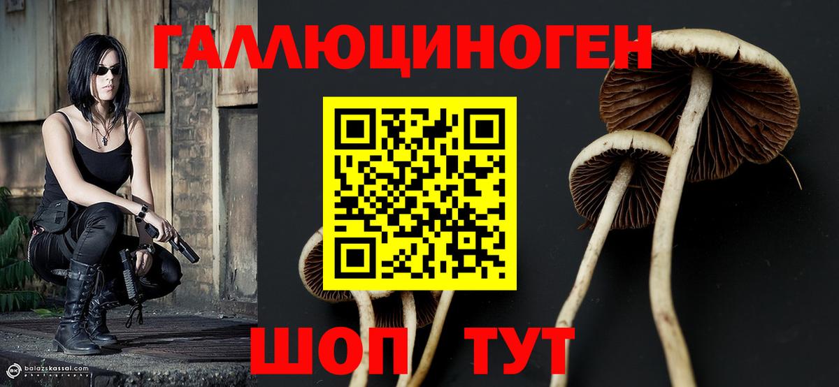 Псилоцибиновые грибы GOLDEN TEACHER Оренбург